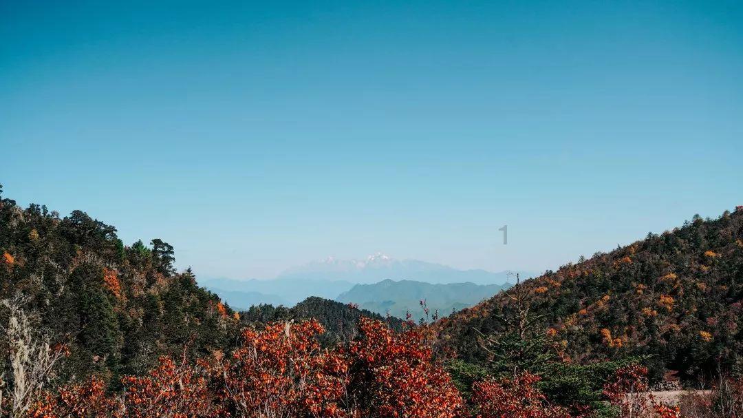 梦想牧场